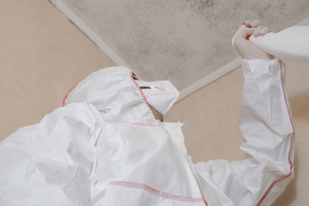 Best Mold Remediation for Specific Building Types in San Marino, CA